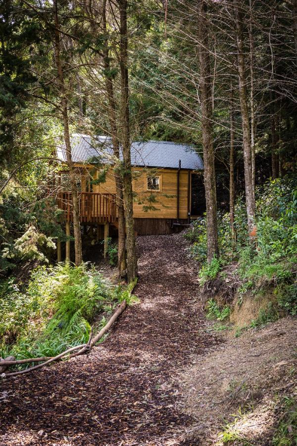 Maitai Whare Iti - Adventure Cabins & House Nelson Exteriör bild