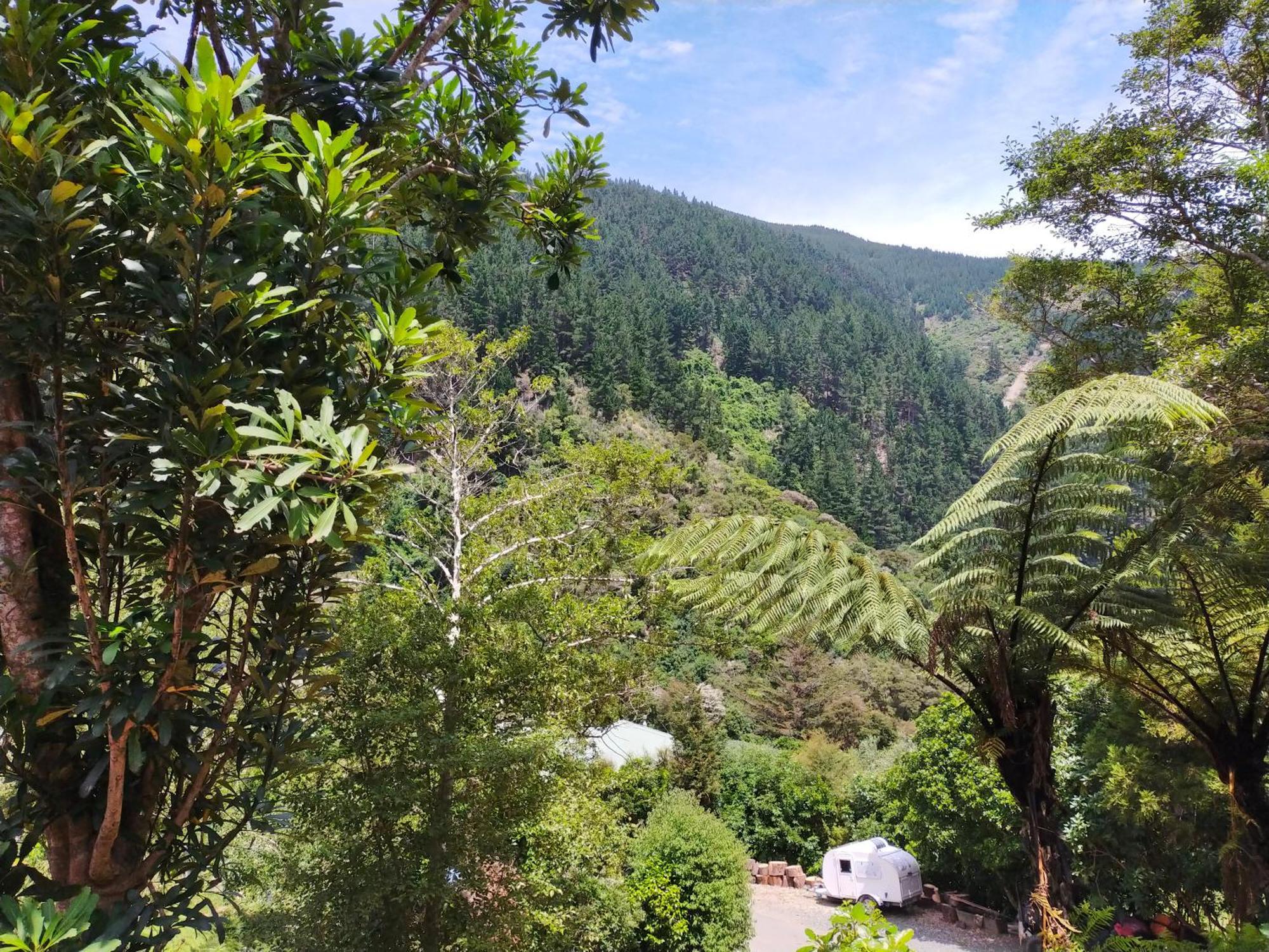 Maitai Whare Iti - Adventure Cabins & House Nelson Exteriör bild